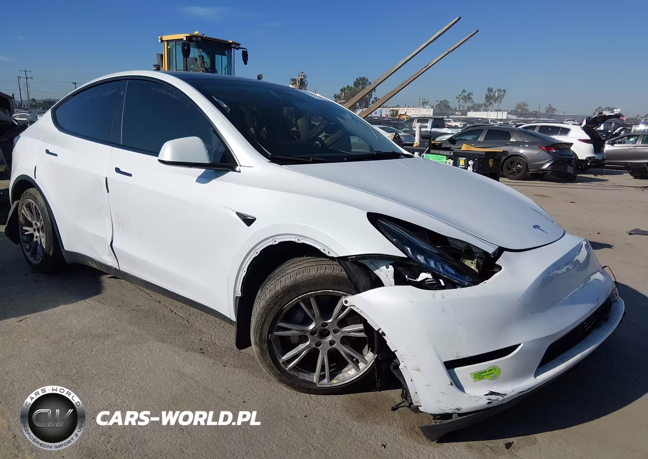 2023 Tesla Model Y Awd-Long Range Dual Motor All-Wheel Drive VIN:7SAYGDEE6PA030786 - 1