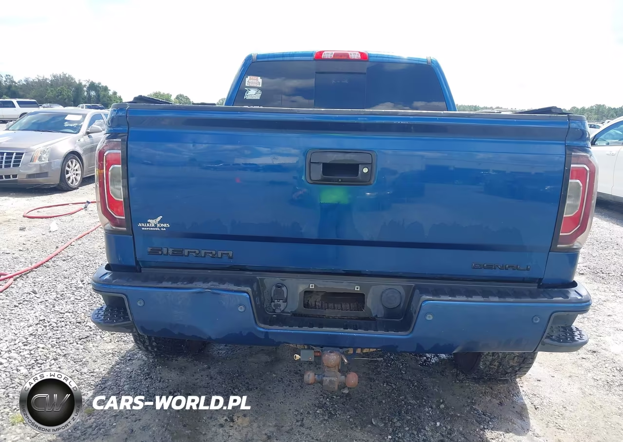 2017 GMC Sierra 1500 Denali VIN:3GTU2PEJ2HG248845 - 16