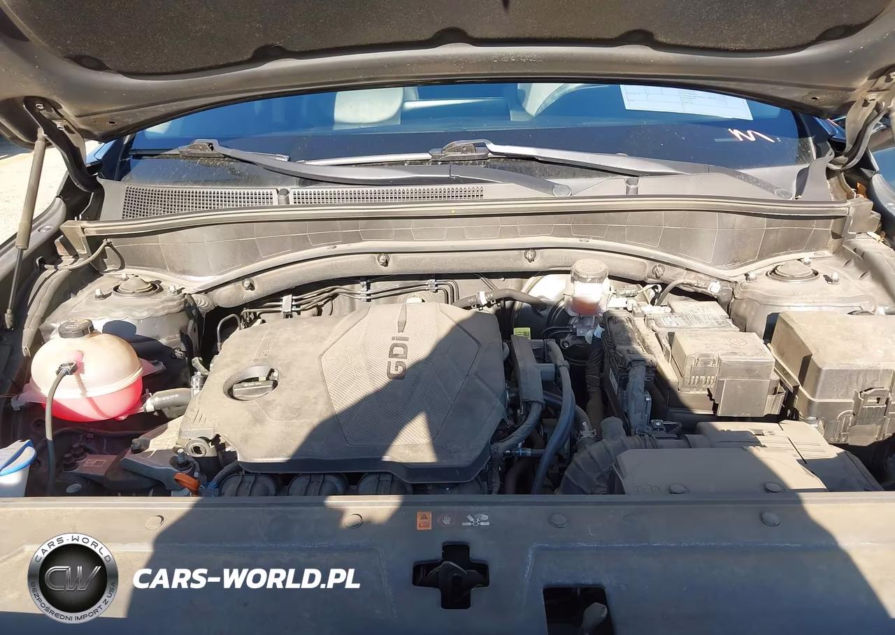 2023 Hyundai Santa Fe Xrt VIN:5NMS64AJ6PH490640 - 10
