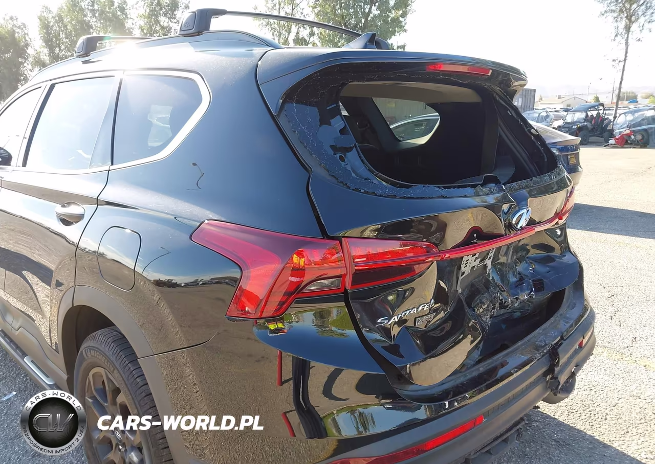 2023 Hyundai Santa Fe Xrt VIN:5NMS64AJ6PH490640 - 12