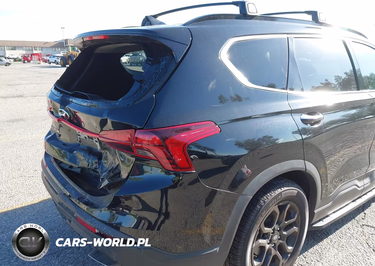 2023 Hyundai Santa Fe Xrt VIN:5NMS64AJ6PH490640 - 13