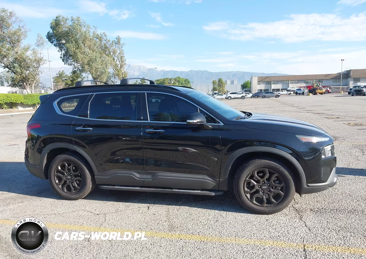 2023 Hyundai Santa Fe Xrt VIN:5NMS64AJ6PH490640 - 16