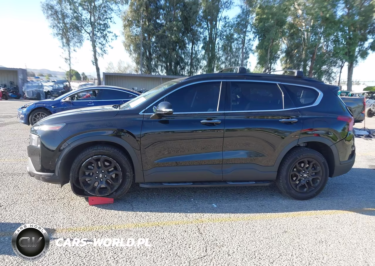 2023 Hyundai Santa Fe Xrt VIN:5NMS64AJ6PH490640 - 17