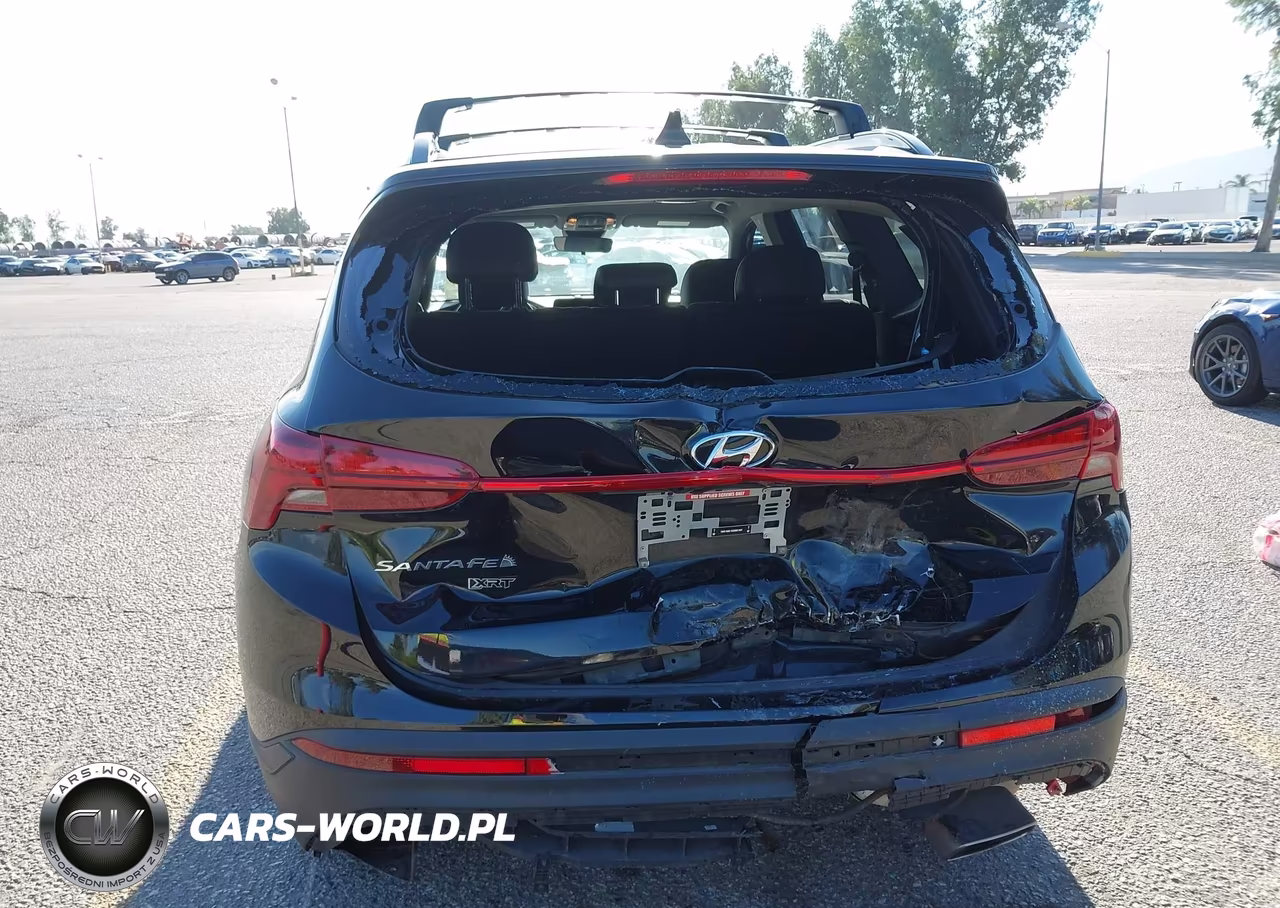 2023 Hyundai Santa Fe Xrt VIN:5NMS64AJ6PH490640 - 19