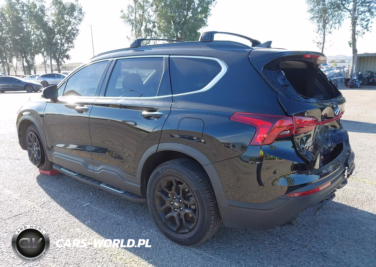 2023 Hyundai Santa Fe Xrt VIN:5NMS64AJ6PH490640 - 3