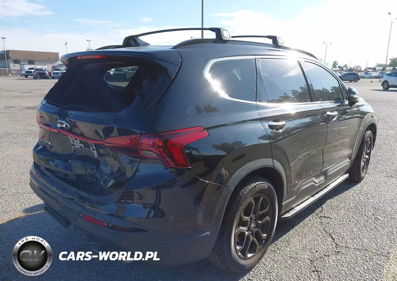 2023 Hyundai Santa Fe Xrt VIN:5NMS64AJ6PH490640 - 4