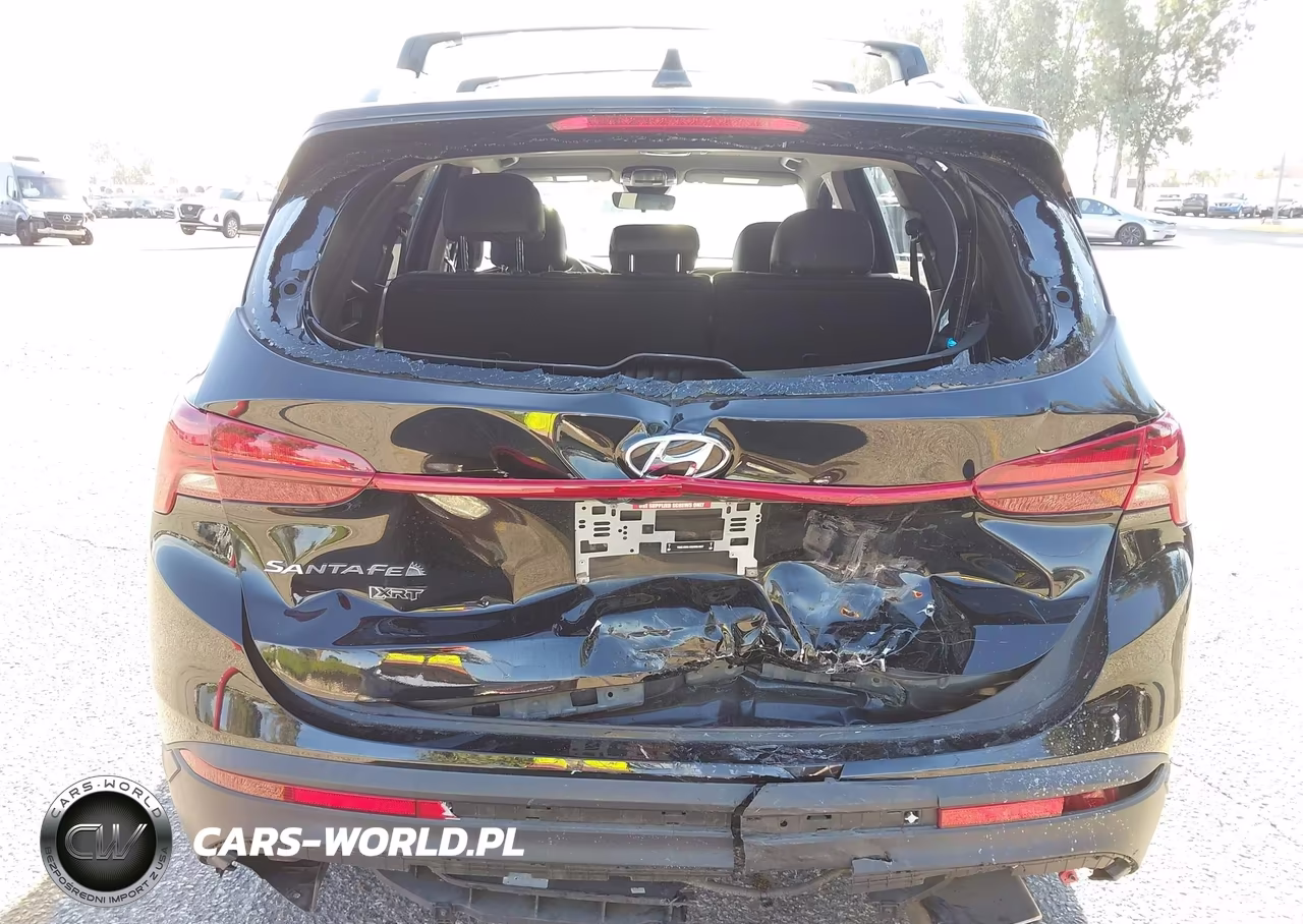 2023 Hyundai Santa Fe Xrt VIN:5NMS64AJ6PH490640 - 6