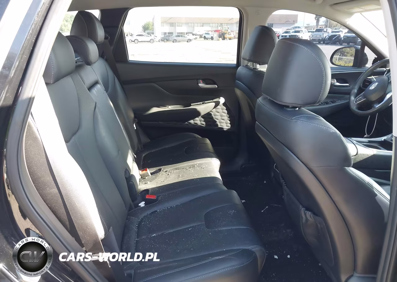 2023 Hyundai Santa Fe Xrt VIN:5NMS64AJ6PH490640 - 8