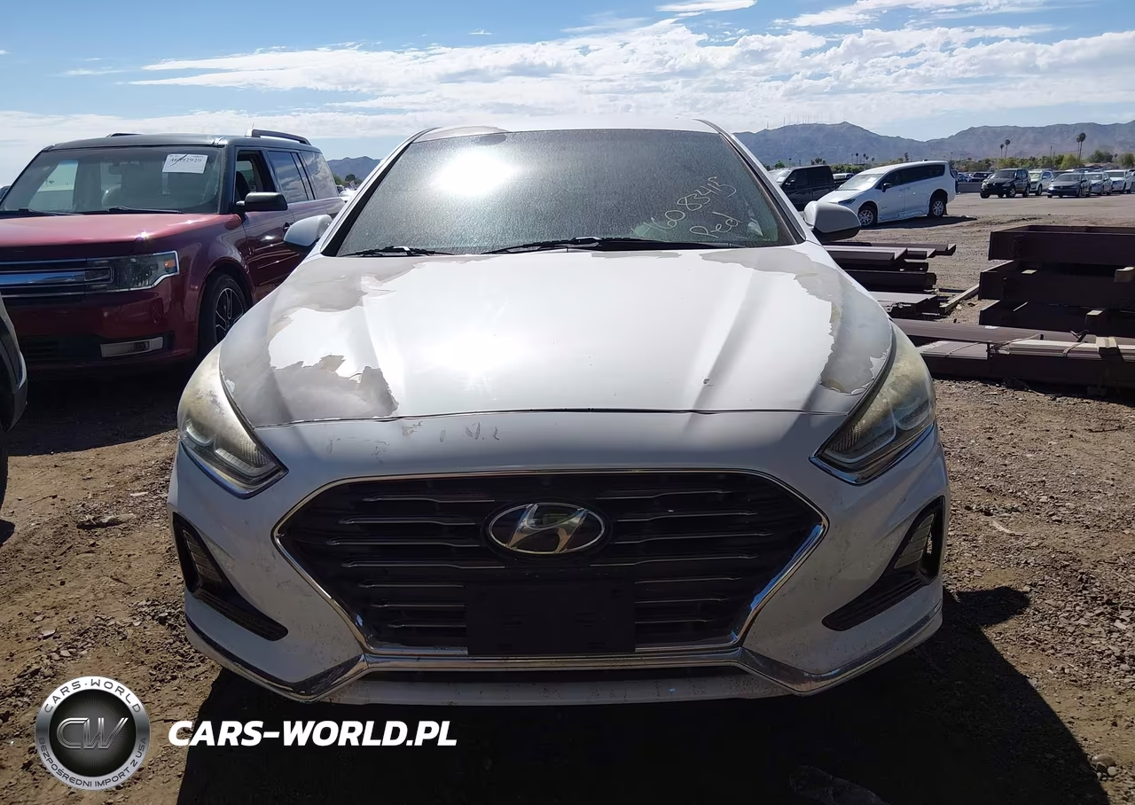 2019 Hyundai Sonata Se VIN:5NPE24AF2KH792782 - 12