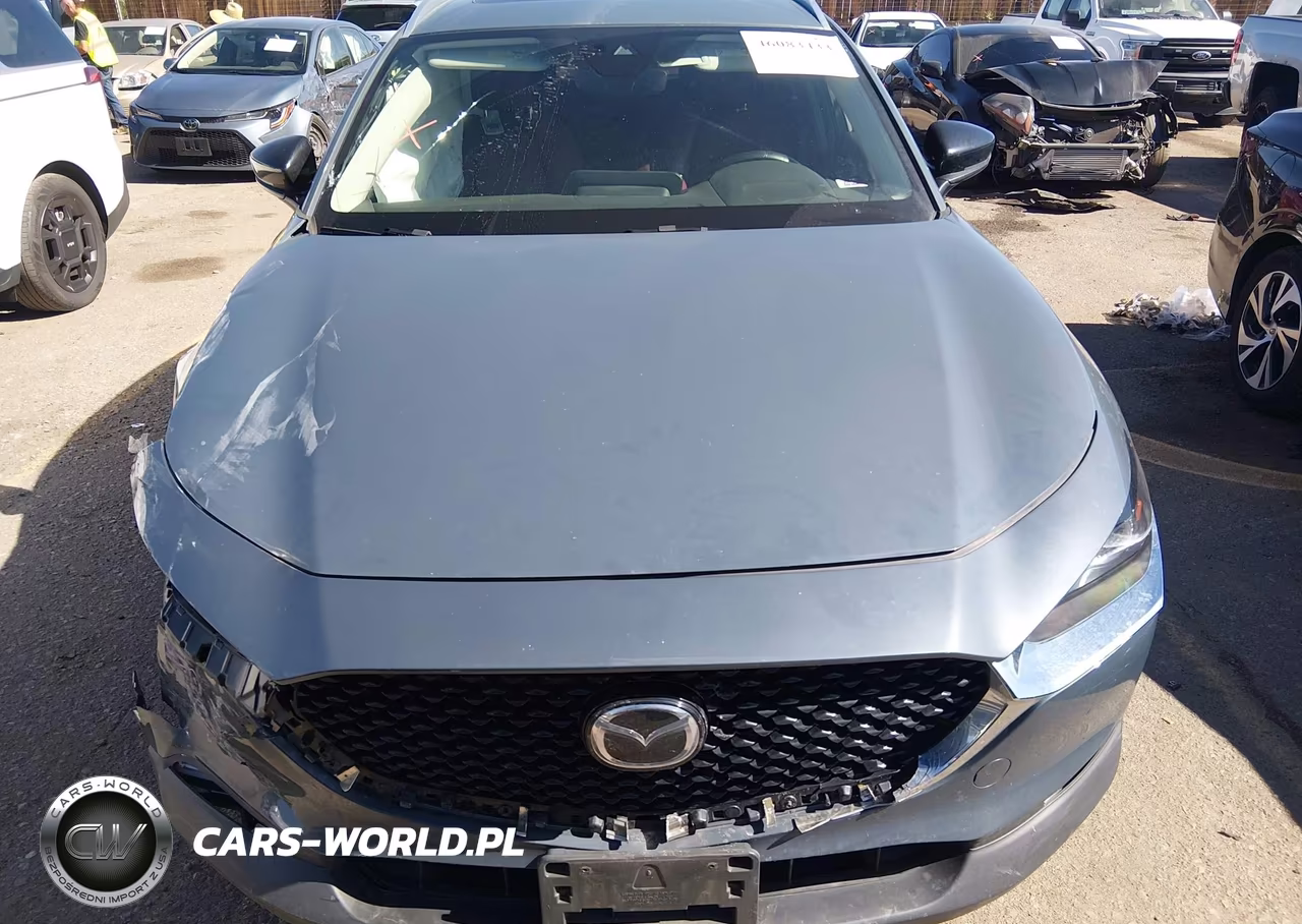 2022 Mazda Cx-30 Carbon Edition VIN:3MVDMBCL8NM439103 - 12