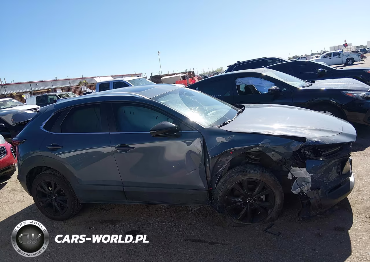 2022 Mazda Cx-30 Carbon Edition VIN:3MVDMBCL8NM439103 - 13