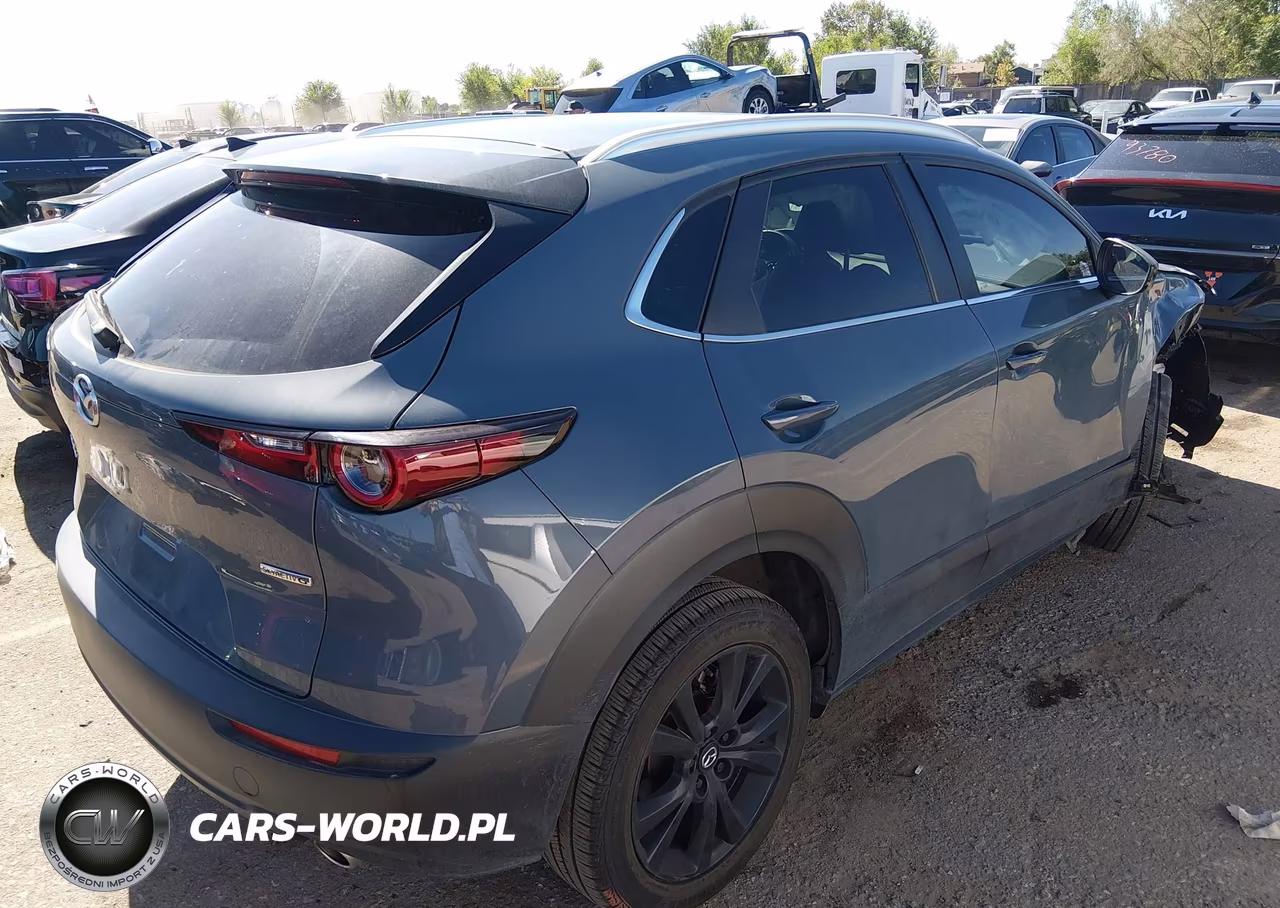 2022 Mazda Cx-30 Carbon Edition VIN:3MVDMBCL8NM439103 - 4