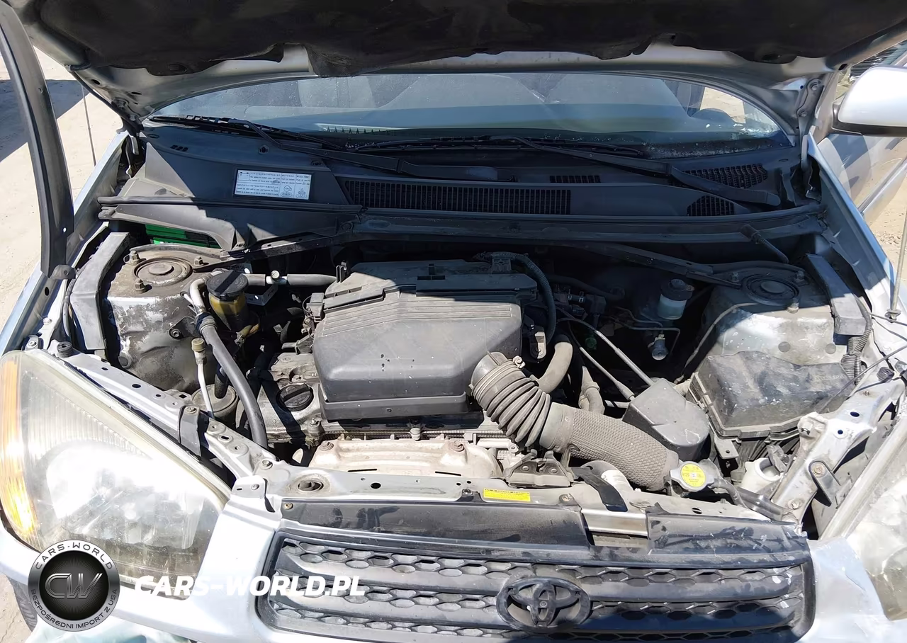 2002 Toyota Rav4 VIN:JTEGH20V920054829 - 10