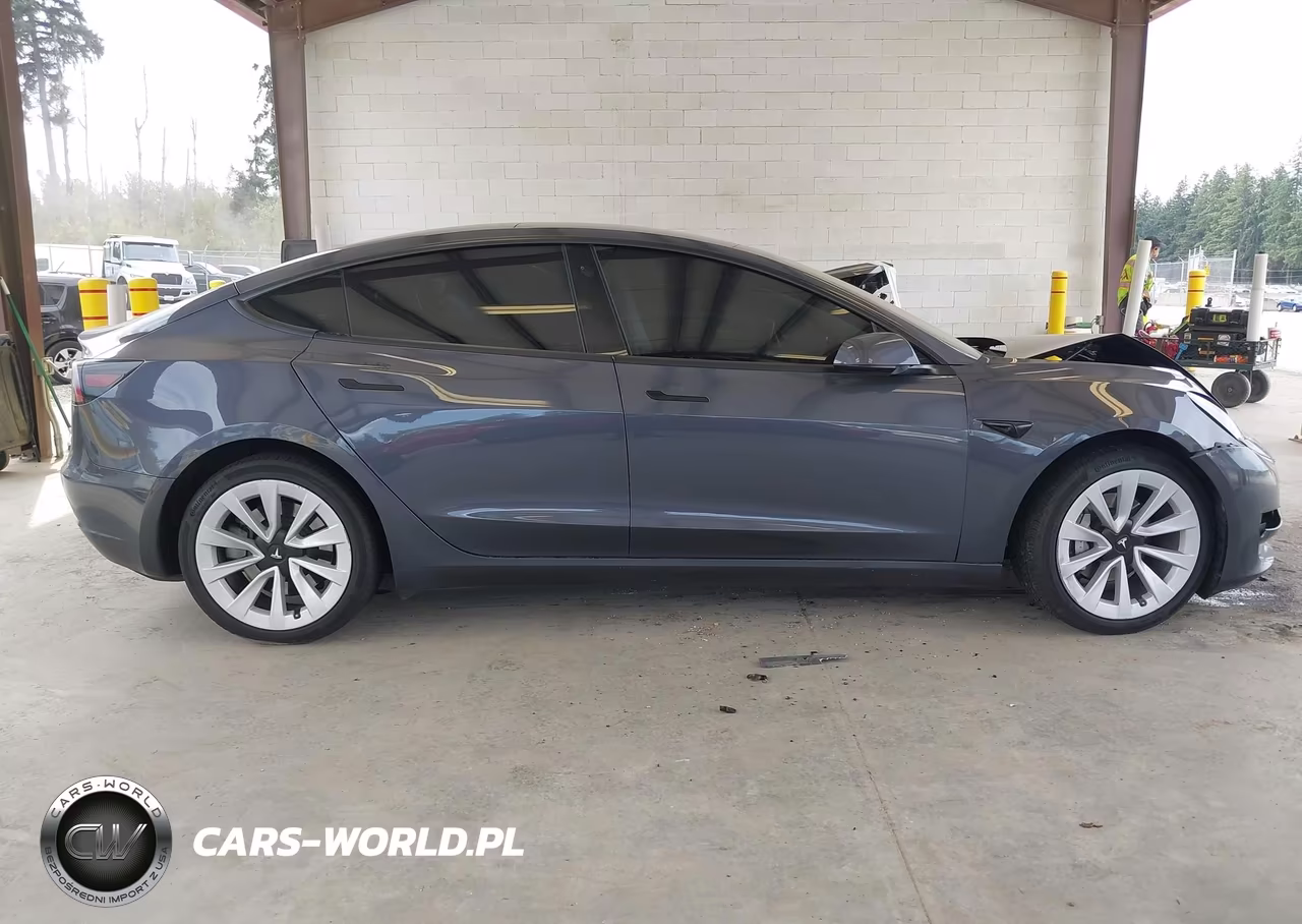 2023 Tesla Model 3 VIN:5YJ3E1EA4PF423021 - 11