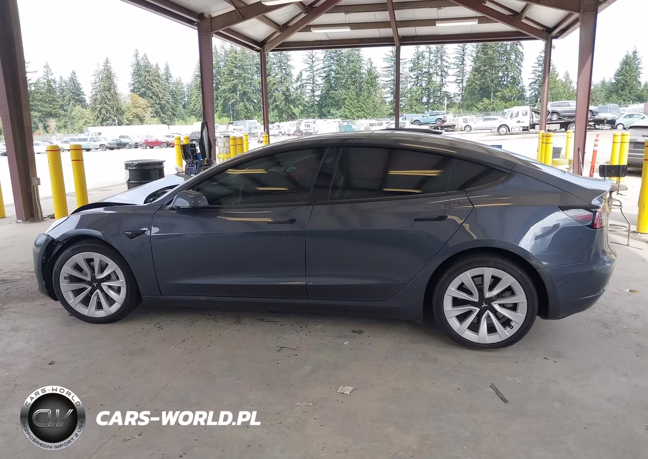 2023 Tesla Model 3 VIN:5YJ3E1EA4PF423021 - 12