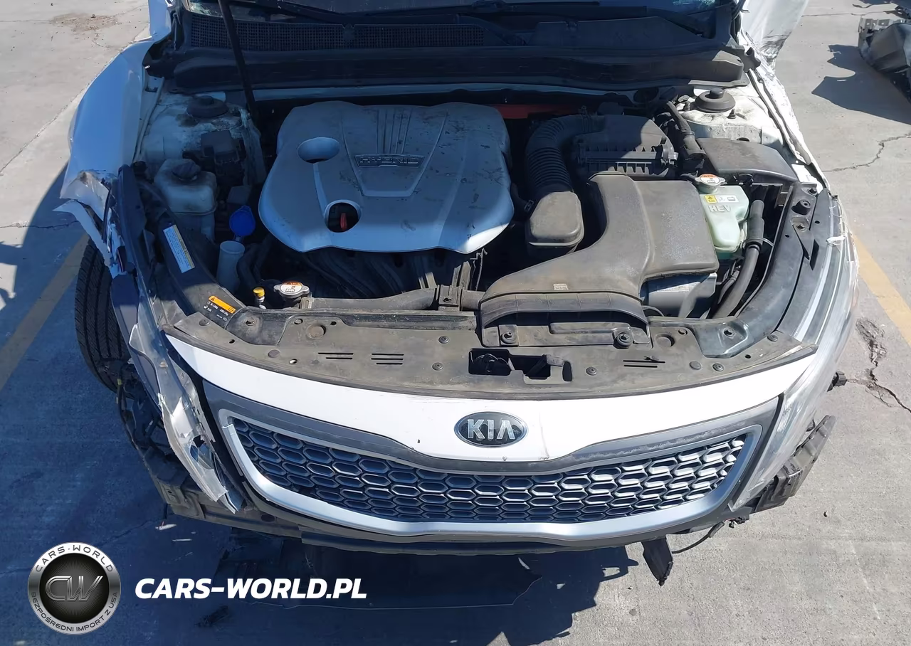2015 Kia Optima Hybrid VIN:KNAGM4AD3F5079331 - 10