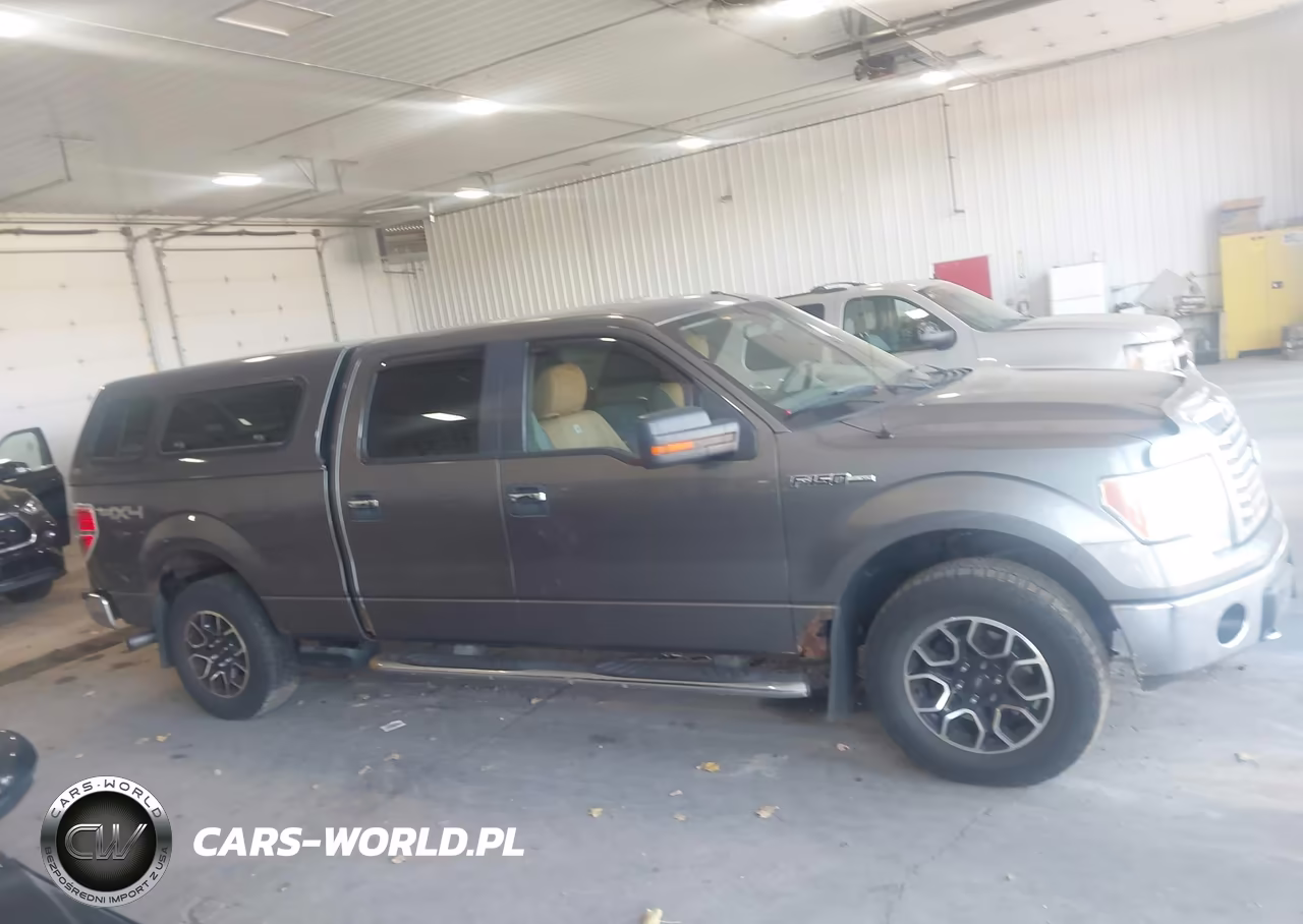 2010 Ford F-150 Fx4-Harley-Davidson-King Ranch-Lariat-Platinum-Xl-Xlt VIN:1FTFW1EV9AFC78574 - 13