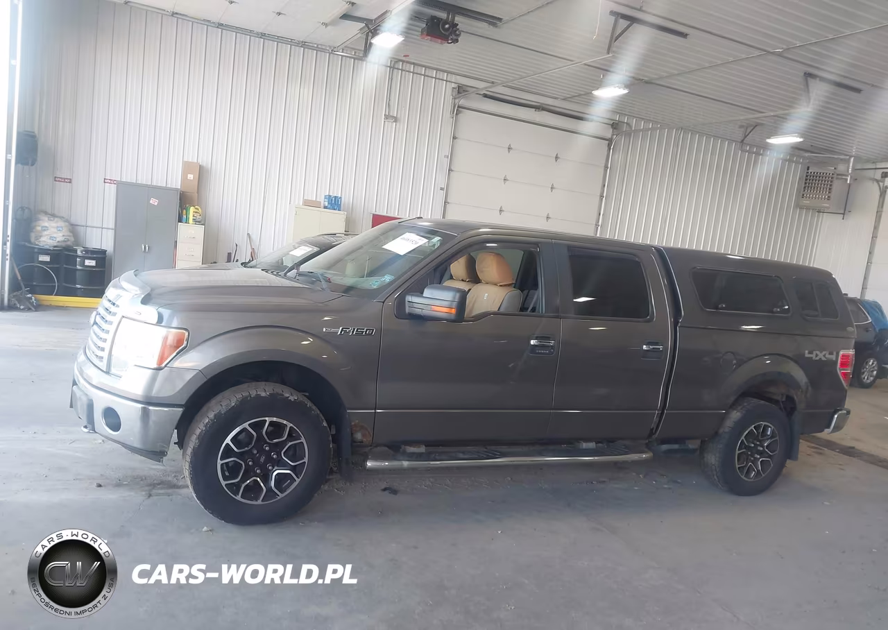 2010 Ford F-150 Fx4-Harley-Davidson-King Ranch-Lariat-Platinum-Xl-Xlt VIN:1FTFW1EV9AFC78574 - 14