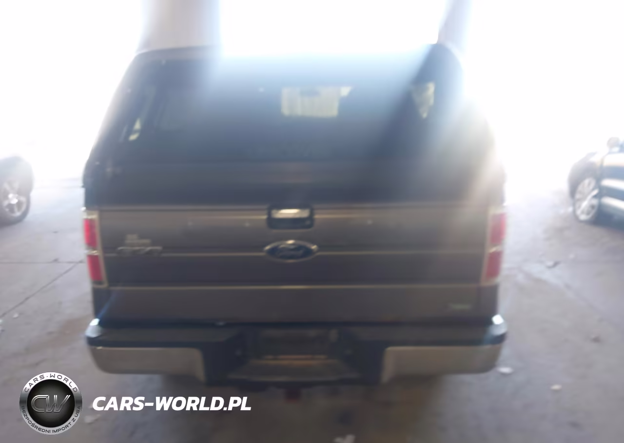2010 Ford F-150 Fx4-Harley-Davidson-King Ranch-Lariat-Platinum-Xl-Xlt VIN:1FTFW1EV9AFC78574 - 16