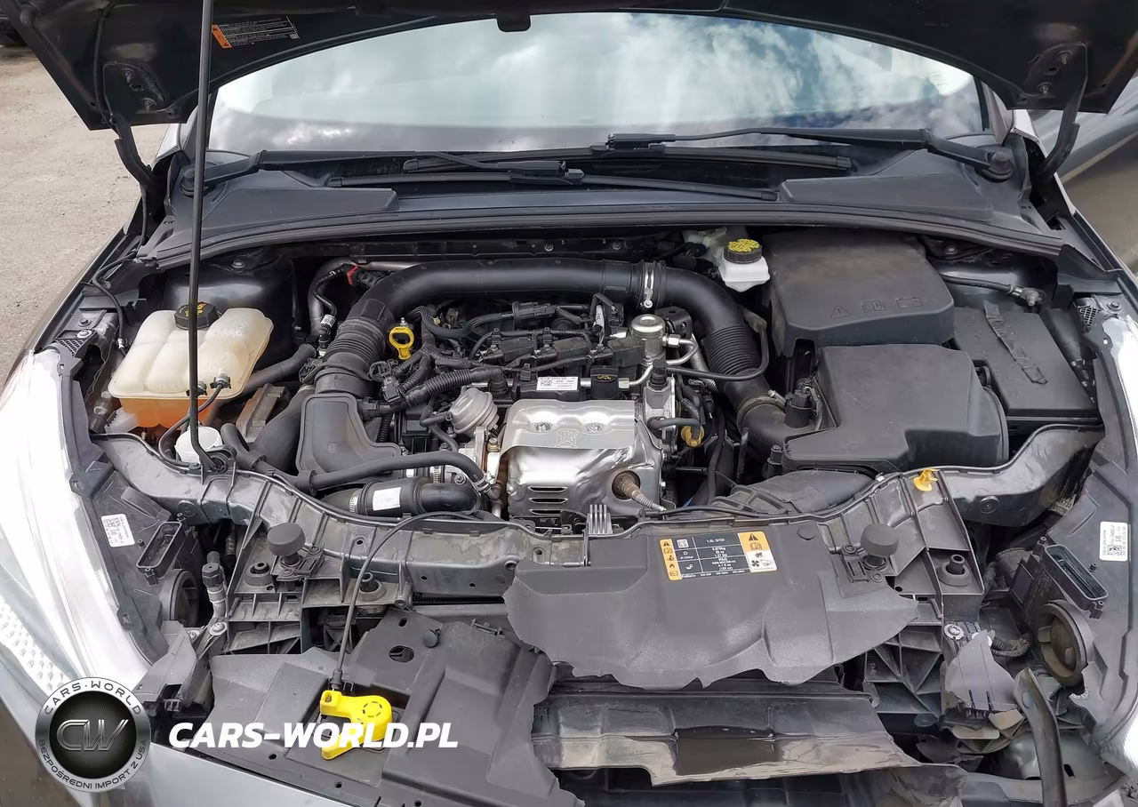 2018 Ford Focus Se VIN:1FADP3FE8JL246320 - 10