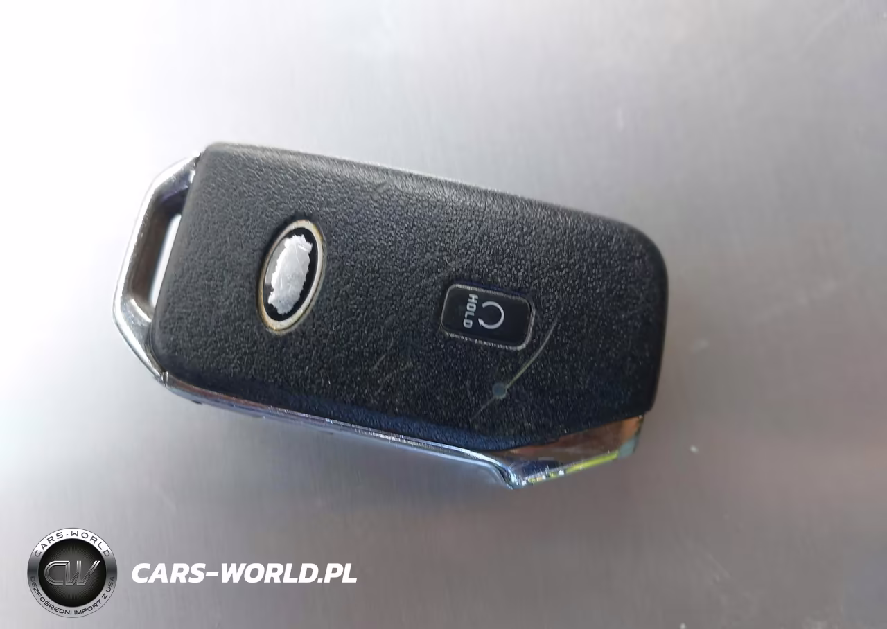 2021 Kia Telluride Sx VIN:5XYP5DHC8MG113832 - 11