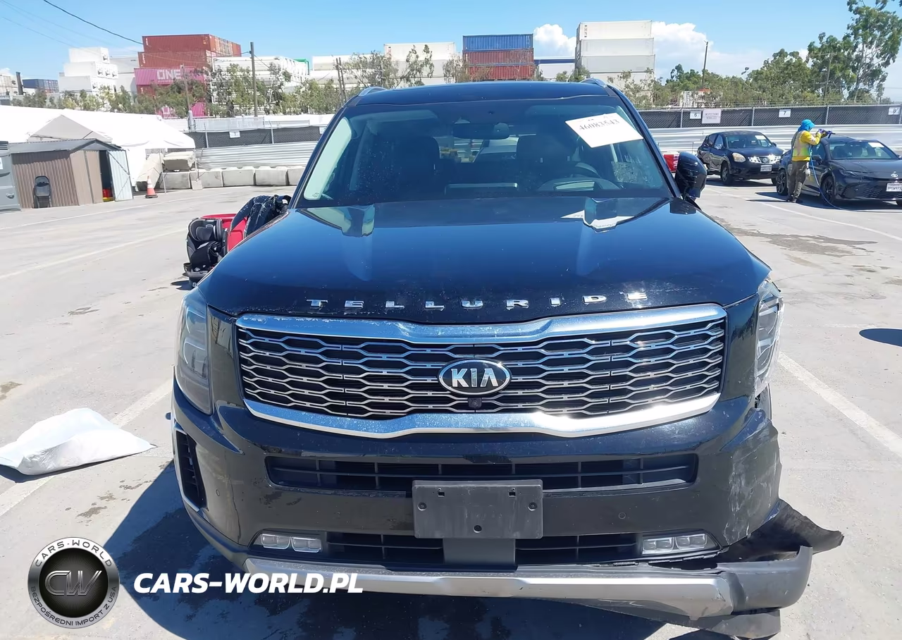 2021 Kia Telluride Sx VIN:5XYP5DHC8MG113832 - 12