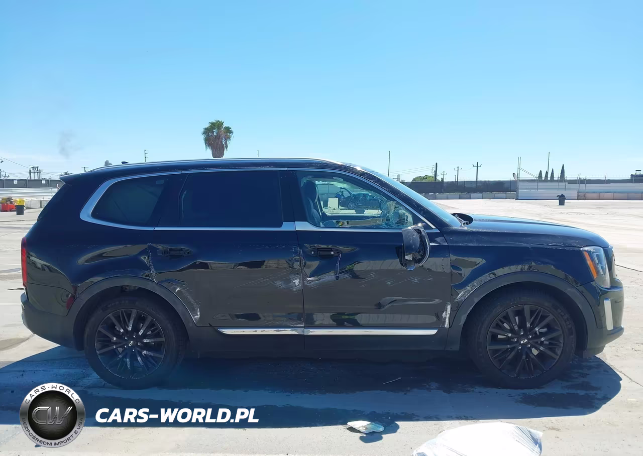 2021 Kia Telluride Sx VIN:5XYP5DHC8MG113832 - 13