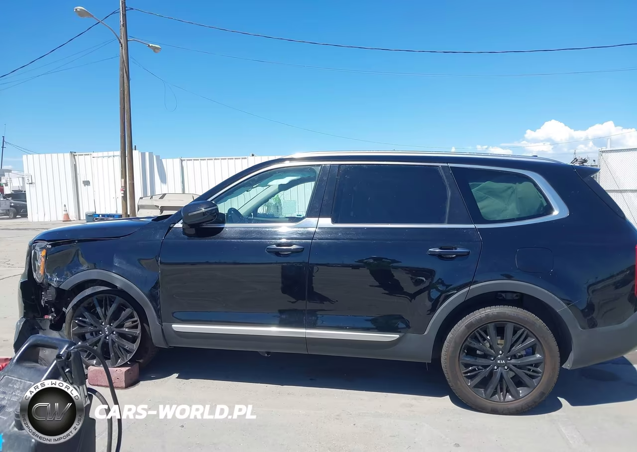 2021 Kia Telluride Sx VIN:5XYP5DHC8MG113832 - 14