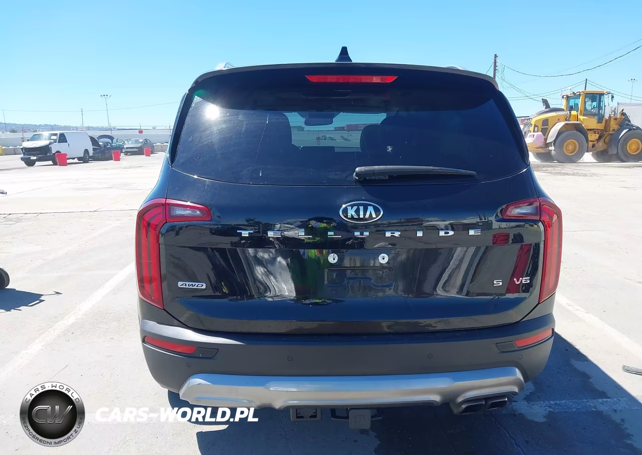 2021 Kia Telluride Sx VIN:5XYP5DHC8MG113832 - 16