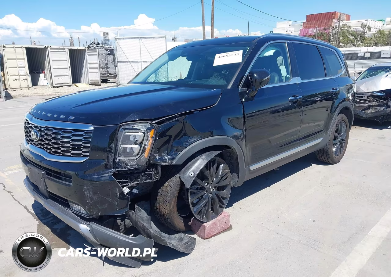 2021 Kia Telluride Sx VIN:5XYP5DHC8MG113832 - 2
