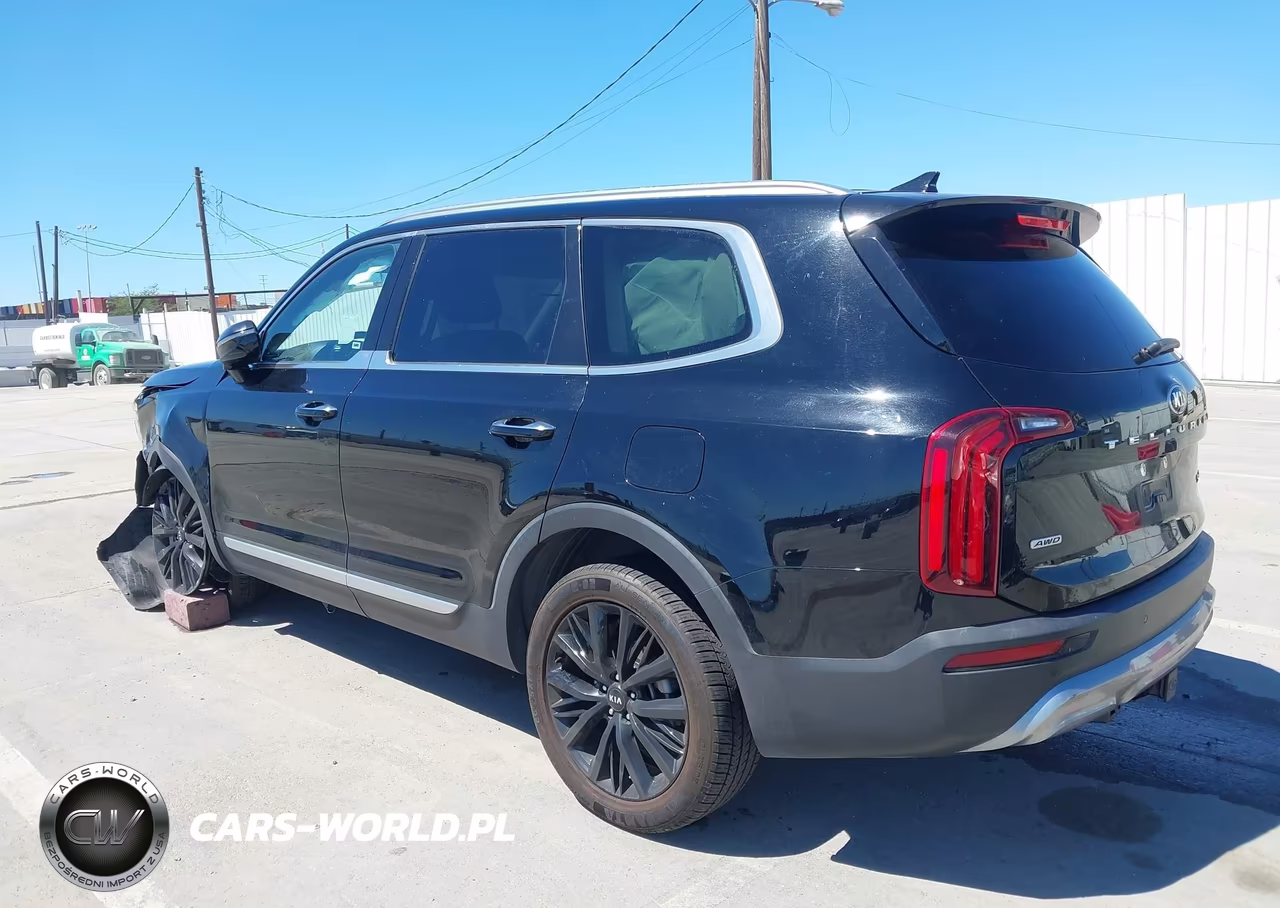 2021 Kia Telluride Sx VIN:5XYP5DHC8MG113832 - 3