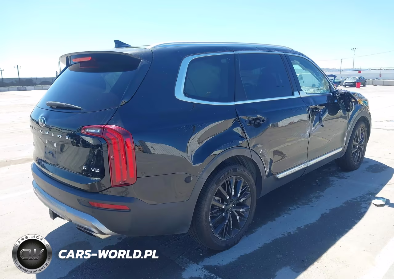 2021 Kia Telluride Sx VIN:5XYP5DHC8MG113832 - 4