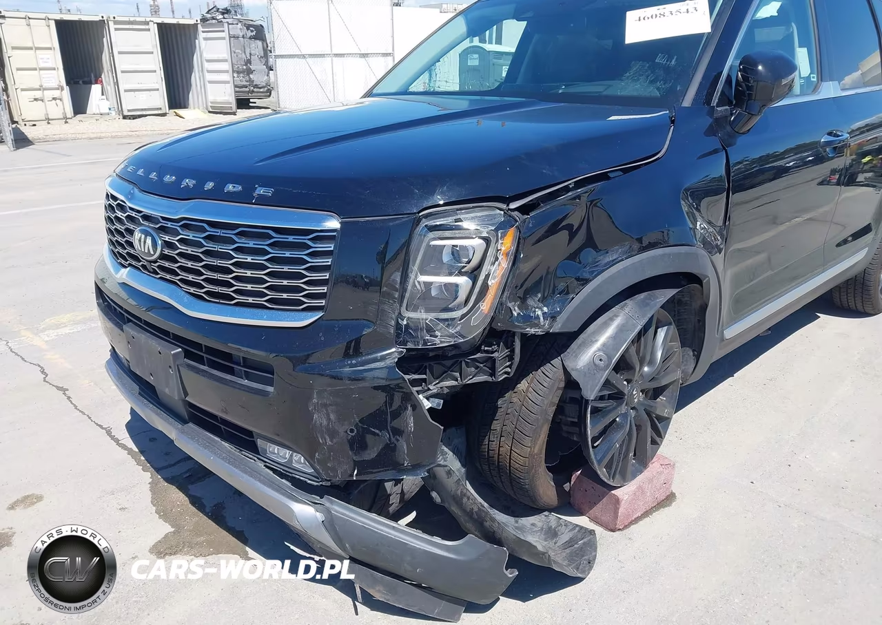 2021 Kia Telluride Sx VIN:5XYP5DHC8MG113832 - 6