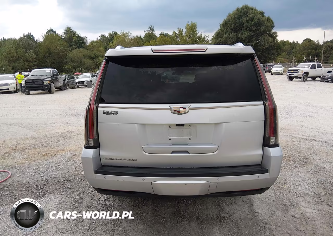 2018 Cadillac Escalade Esv Luxury VIN:1GYS3HKJ8JR118261 - 18