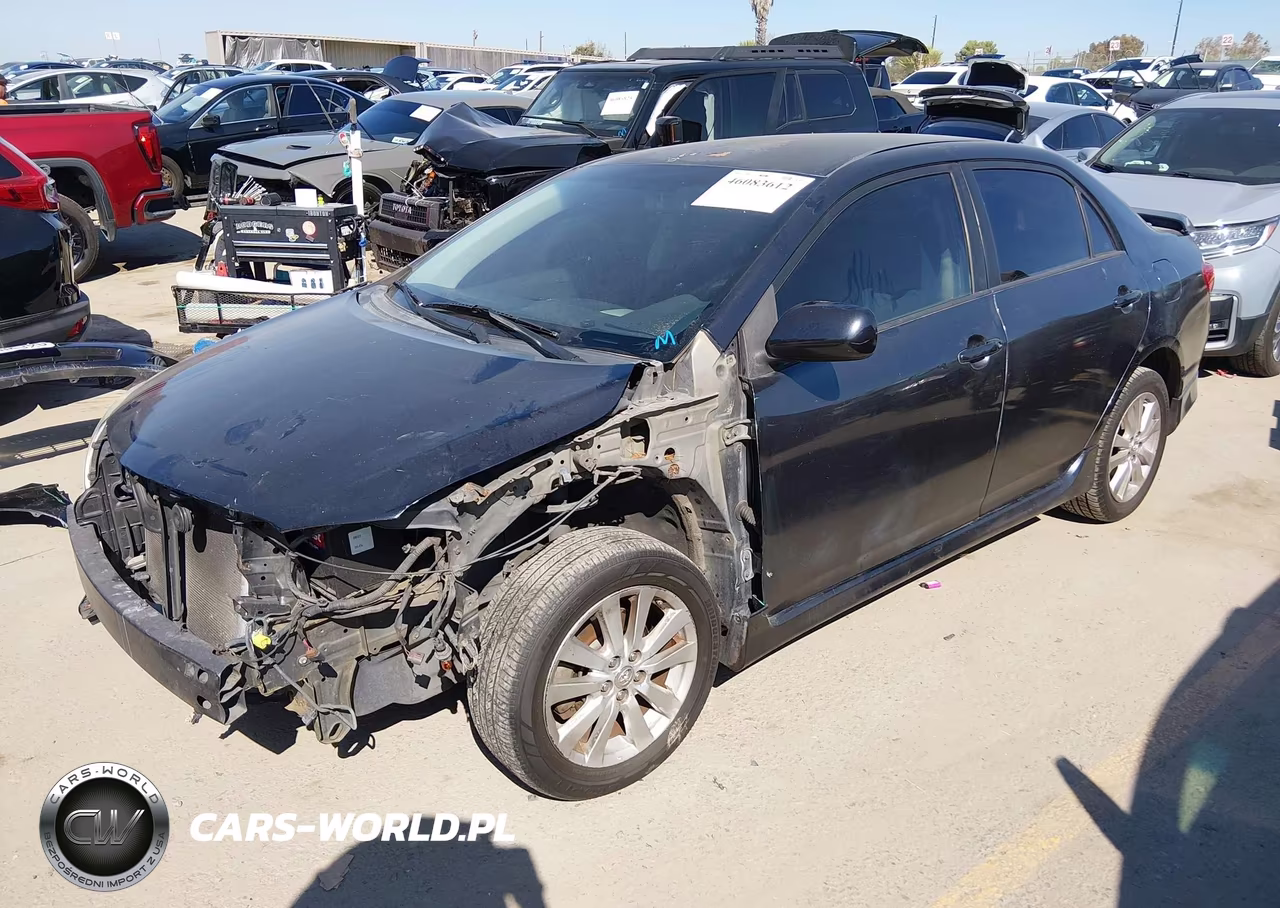 2010 Toyota Corolla S VIN:2T1BU4EE7AC445075 - 2