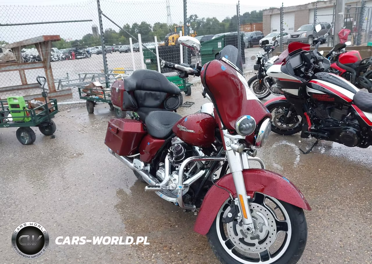 2009 Harley-Davidson Flhx