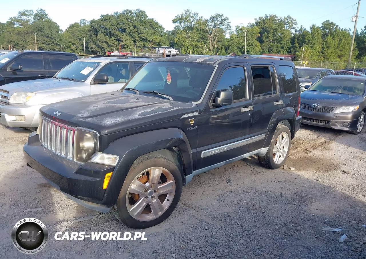 2011 Jeep Liberty Limited Edition VIN:1J4PP5GK6BW569783 - 2