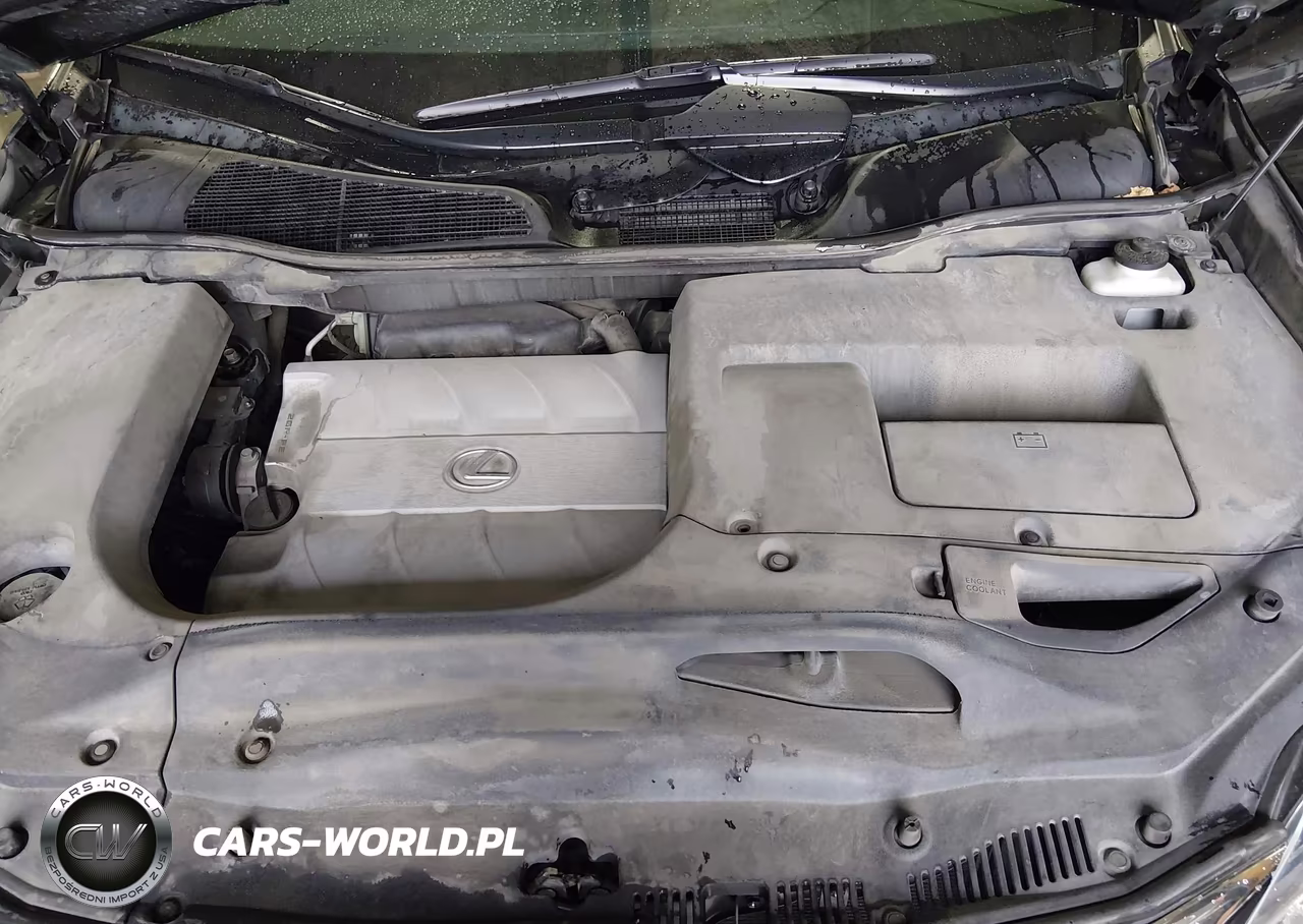 2014 Lexus Rx 350 VIN:2T2BK1BA6EC249250 - 10