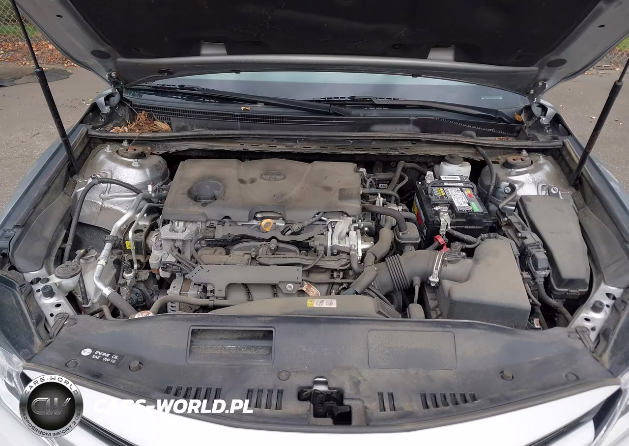 2019 Toyota Camry Le VIN:4T1B11HK4KU778925 - 10
