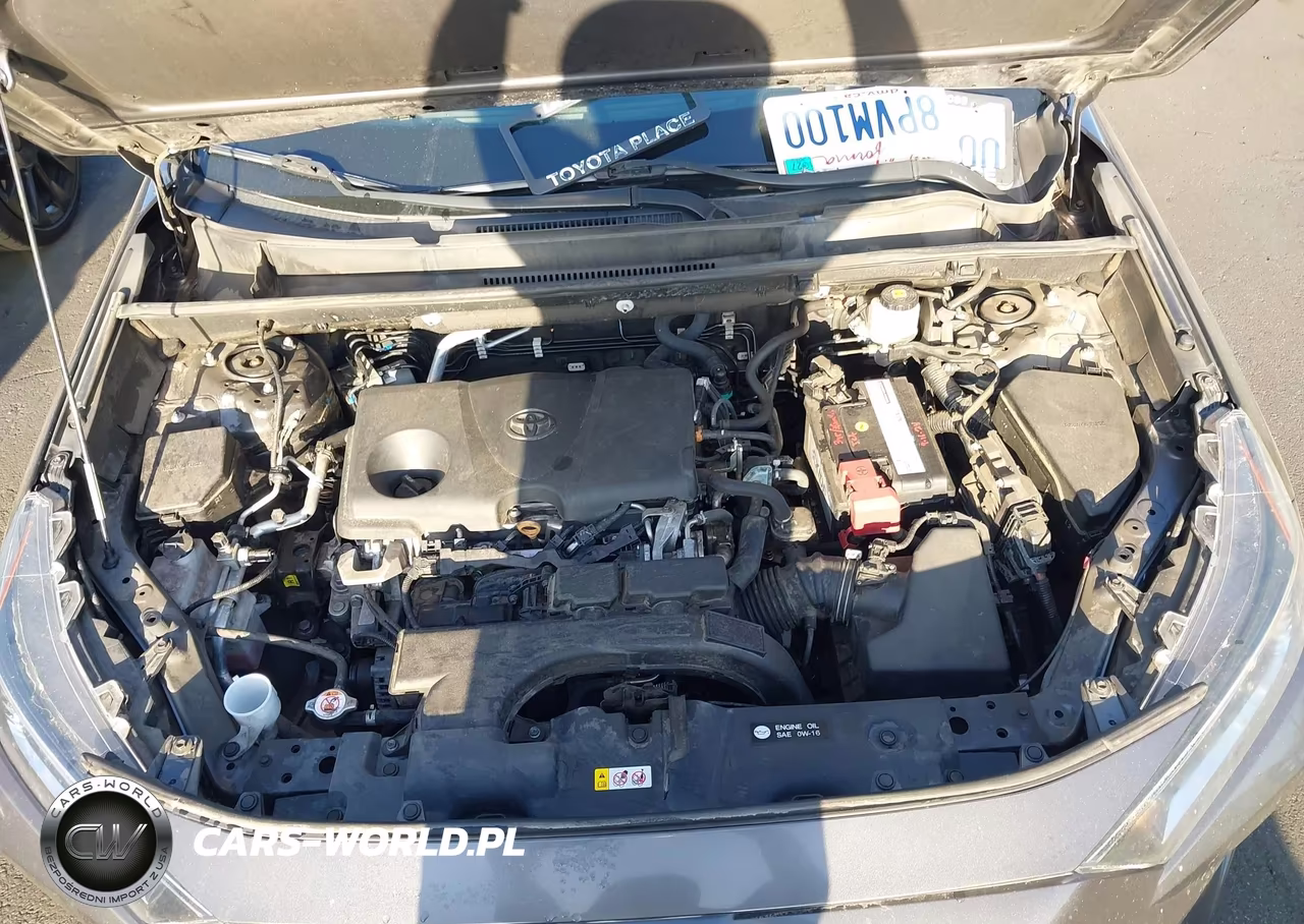 2020 Toyota Rav4 Xle VIN:2T3W1RFV8LW081294 - 10