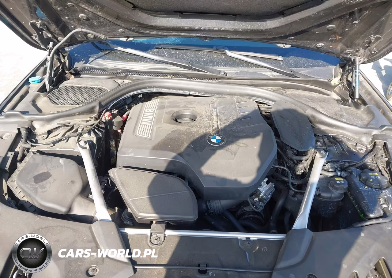 2019 BMW 530I VIN:WBAJA5C54KBX86251 - 10