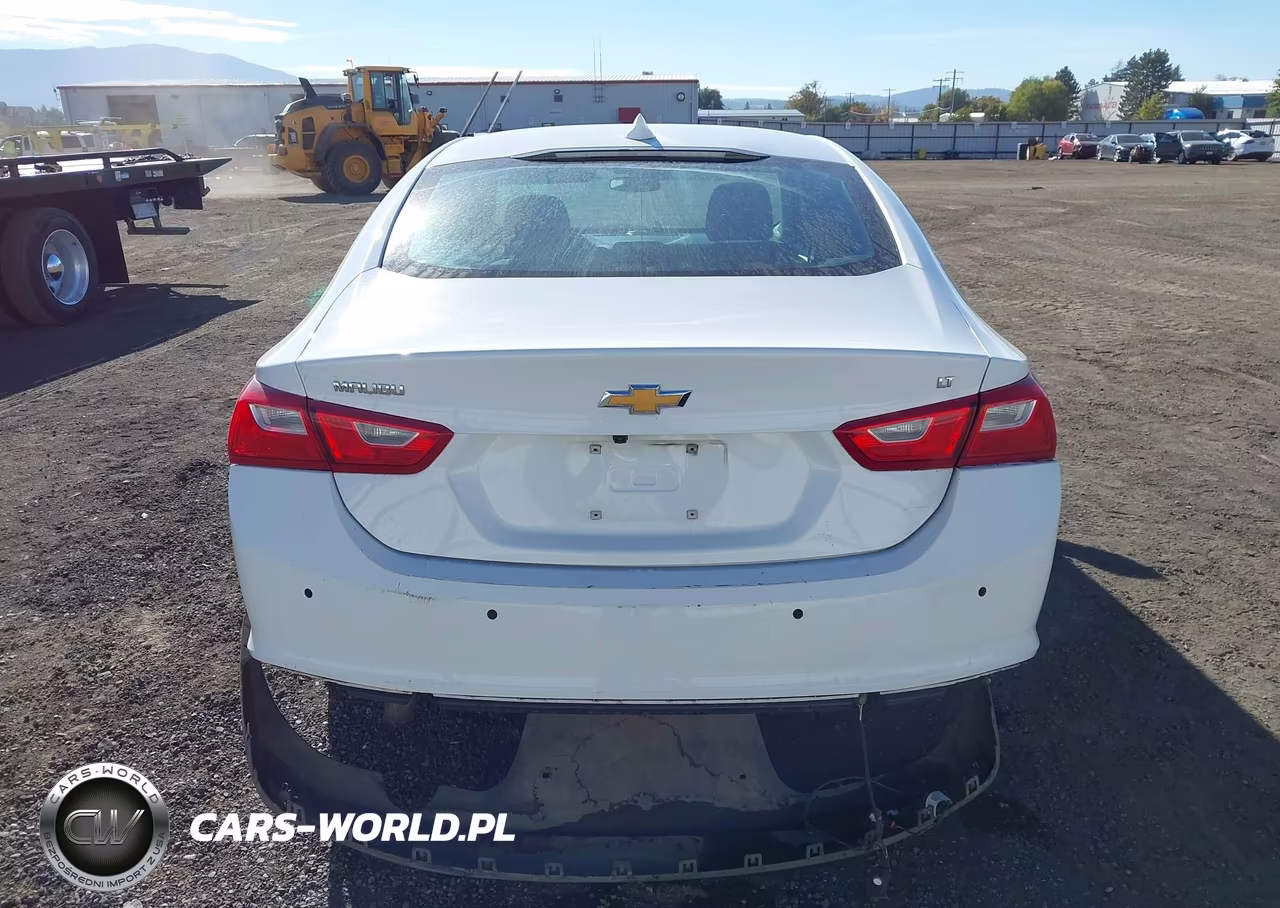 2024 Chevrolet Malibu Fwd 1Lt VIN:1G1ZD5ST9RF221924 - 17