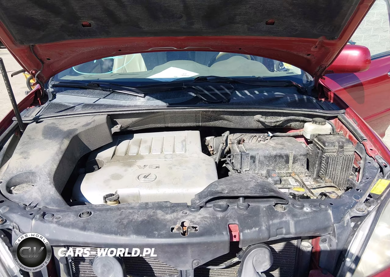 2009 Lexus Rx 350 VIN:2T2HK31U39C098942 - 10
