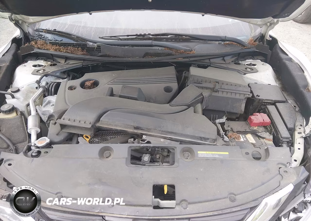 2017 Nissan Altima 2.5 S VIN:1N4AL3AP1HC291617 - 10