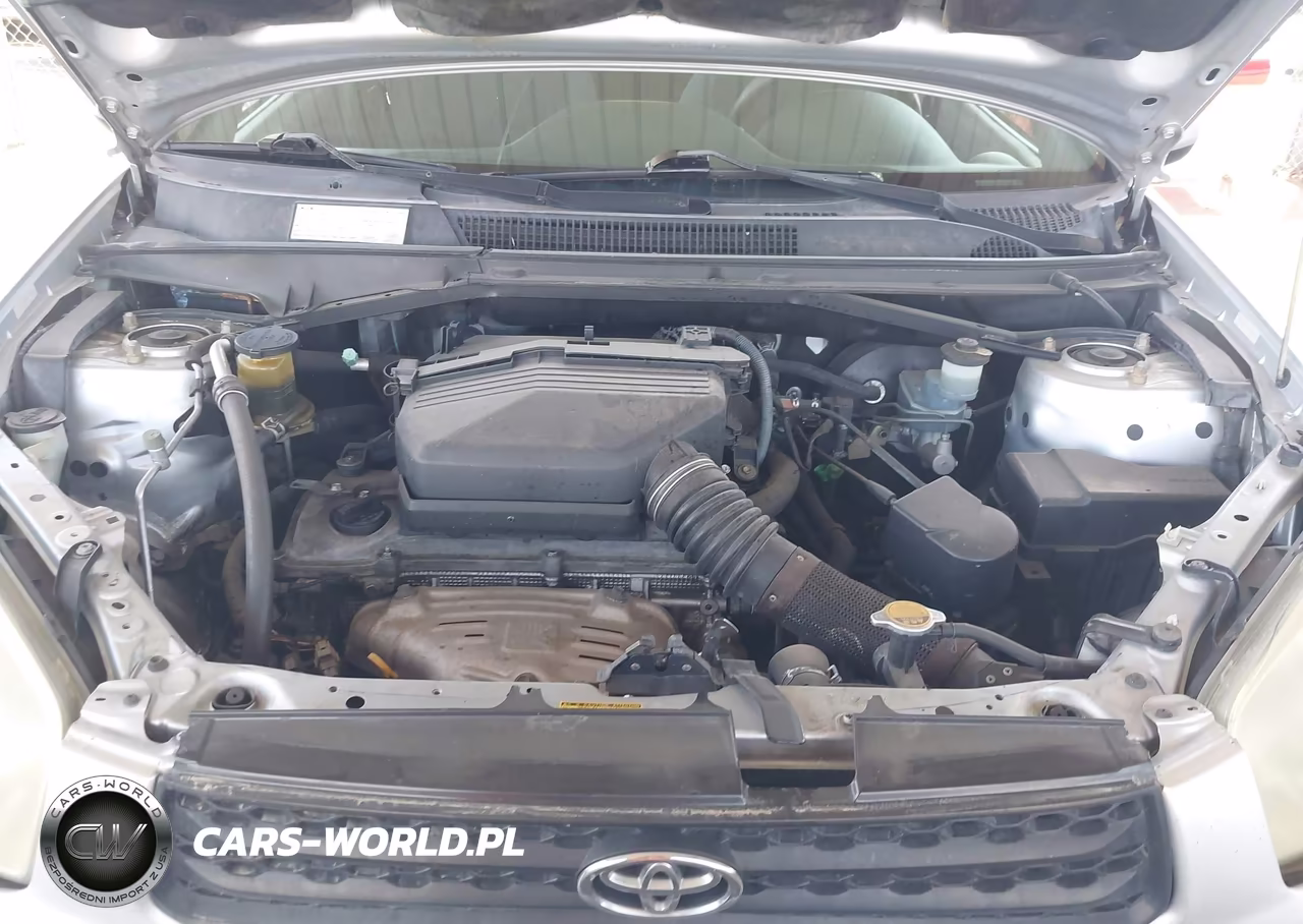 2001 Toyota Rav4 VIN:JTEGH20V410020456 - 10