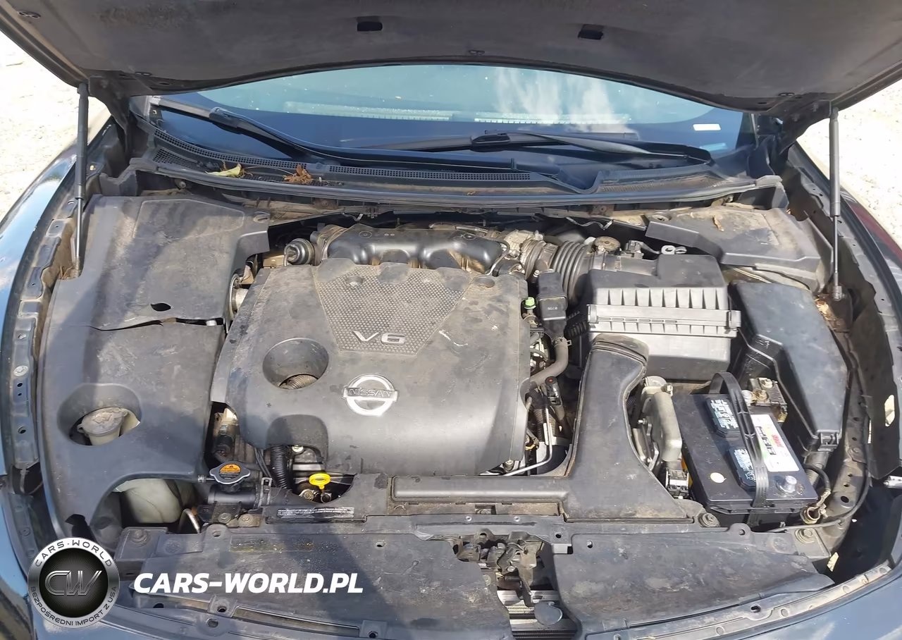 2009 Nissan Maxima 3.5 S VIN:1N4AA51E59C823002 - 10