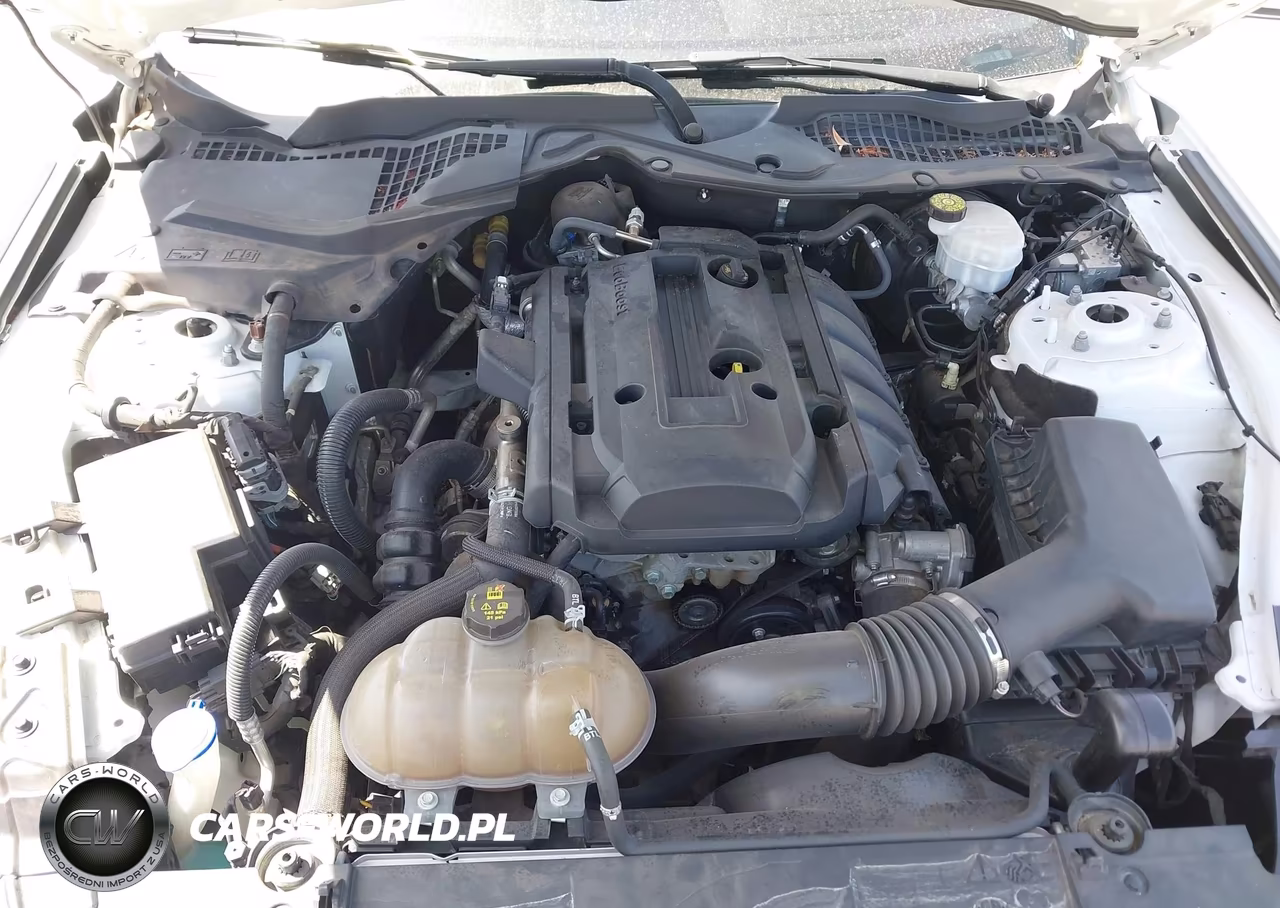 2020 Ford Mustang Ecoboost Premium Fastback VIN:1FA6P8TH0L5126278 - 10