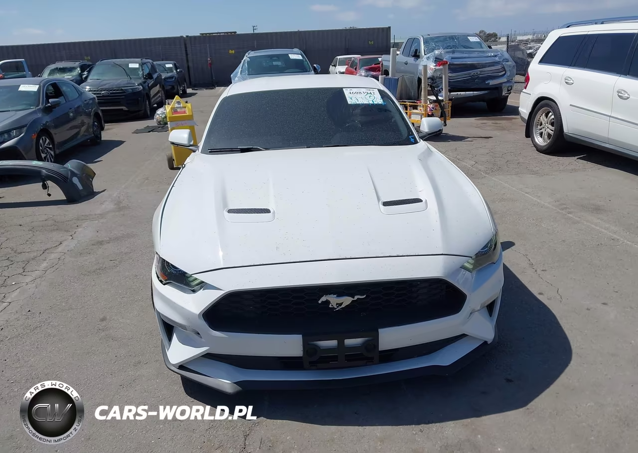 2020 Ford Mustang Ecoboost Premium Fastback VIN:1FA6P8TH0L5126278 - 12