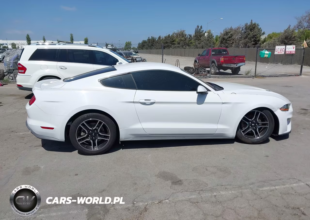 2020 Ford Mustang Ecoboost Premium Fastback VIN:1FA6P8TH0L5126278 - 13