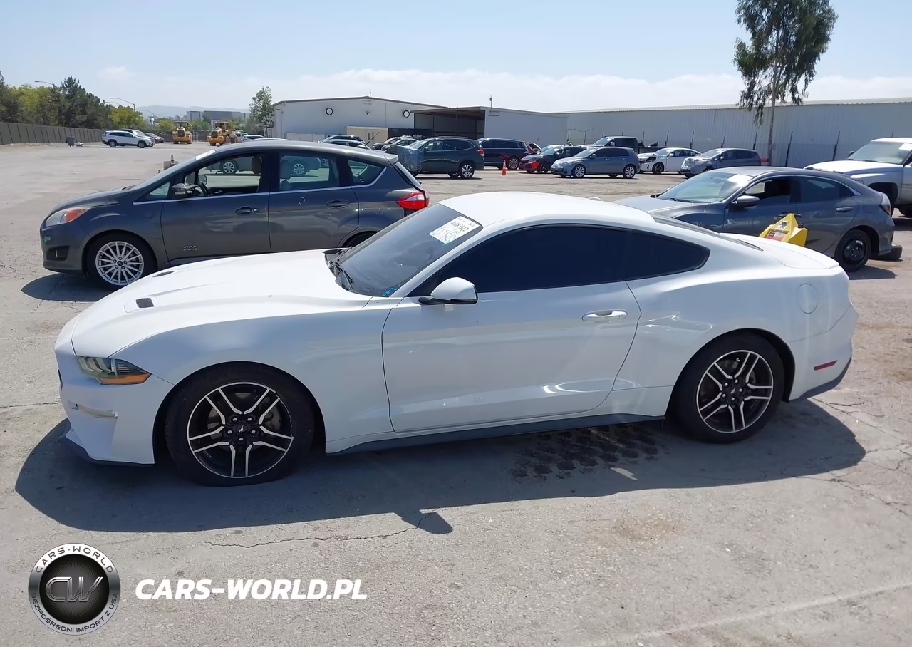 2020 Ford Mustang Ecoboost Premium Fastback VIN:1FA6P8TH0L5126278 - 14
